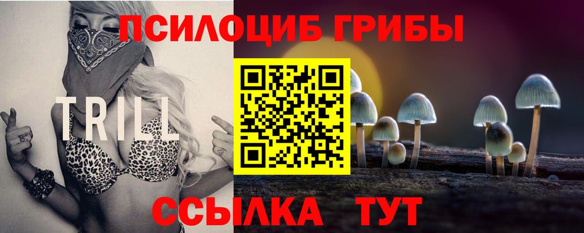 Псилоцибиновые грибы Psilocybine cubensis  Вход с VPN  Семёнов  Галлюциногенные грибы прущие грибы 