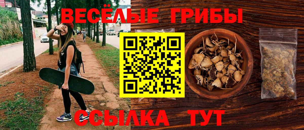 Псилоцибиновые грибы Cubensis Семёнов
